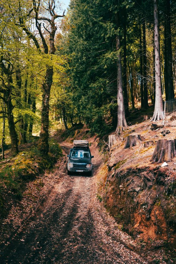 IMG_5409 GRITT-Outdoors-IMG 5409 scaled