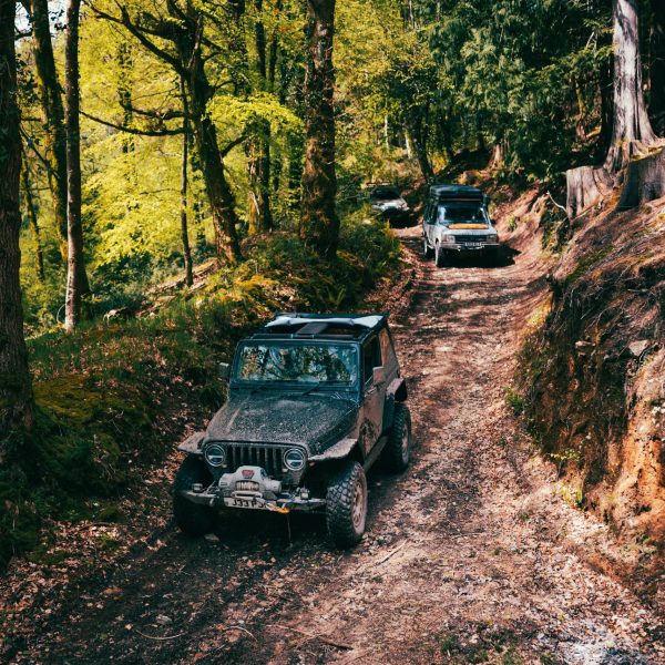 IMG_5411 GRITT-Outdoors-IMG 5411 1 scaled e1766954310642