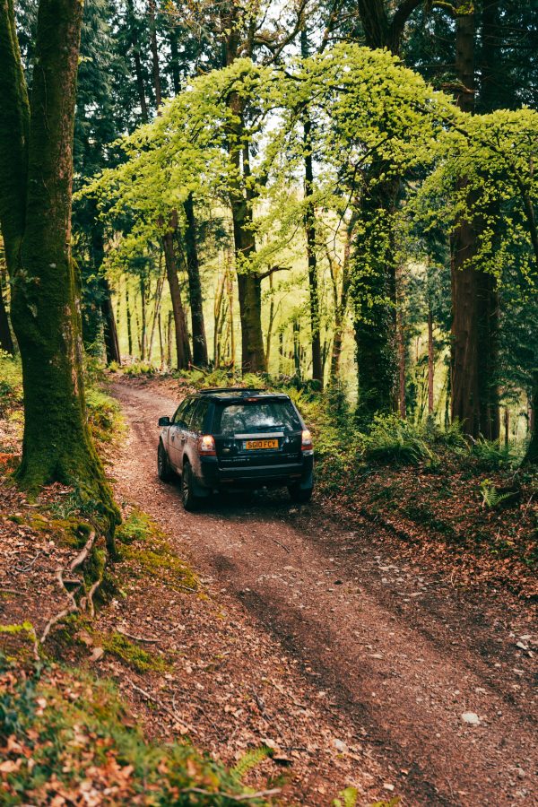 IMG_5415 GRITT-Outdoors-IMG 5415 scaled