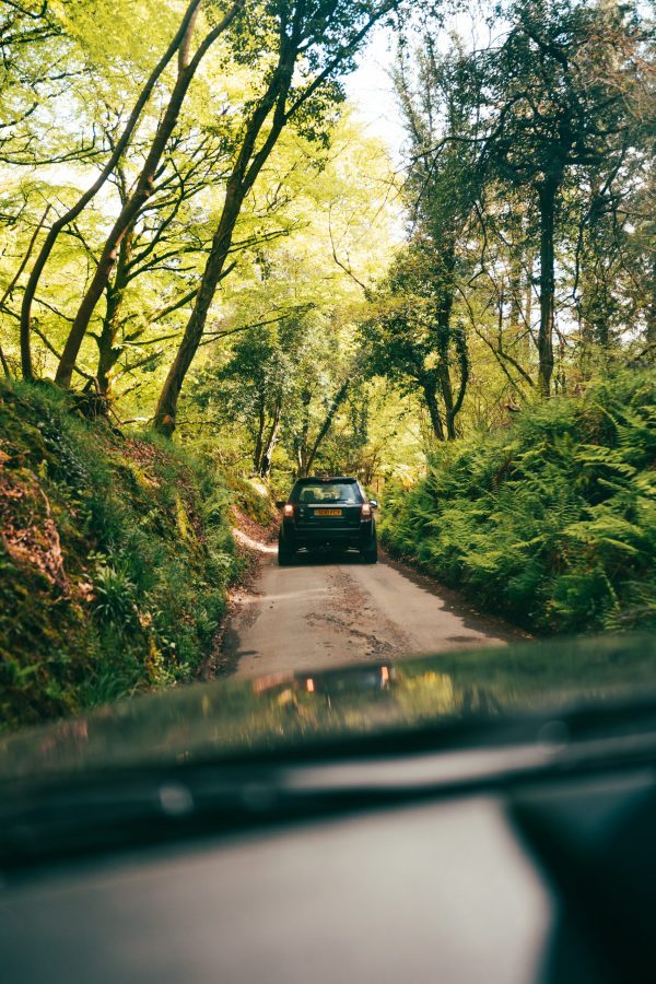 IMG_5430 GRITT-Outdoors-IMG 5430 scaled